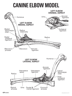 Educational Card Front